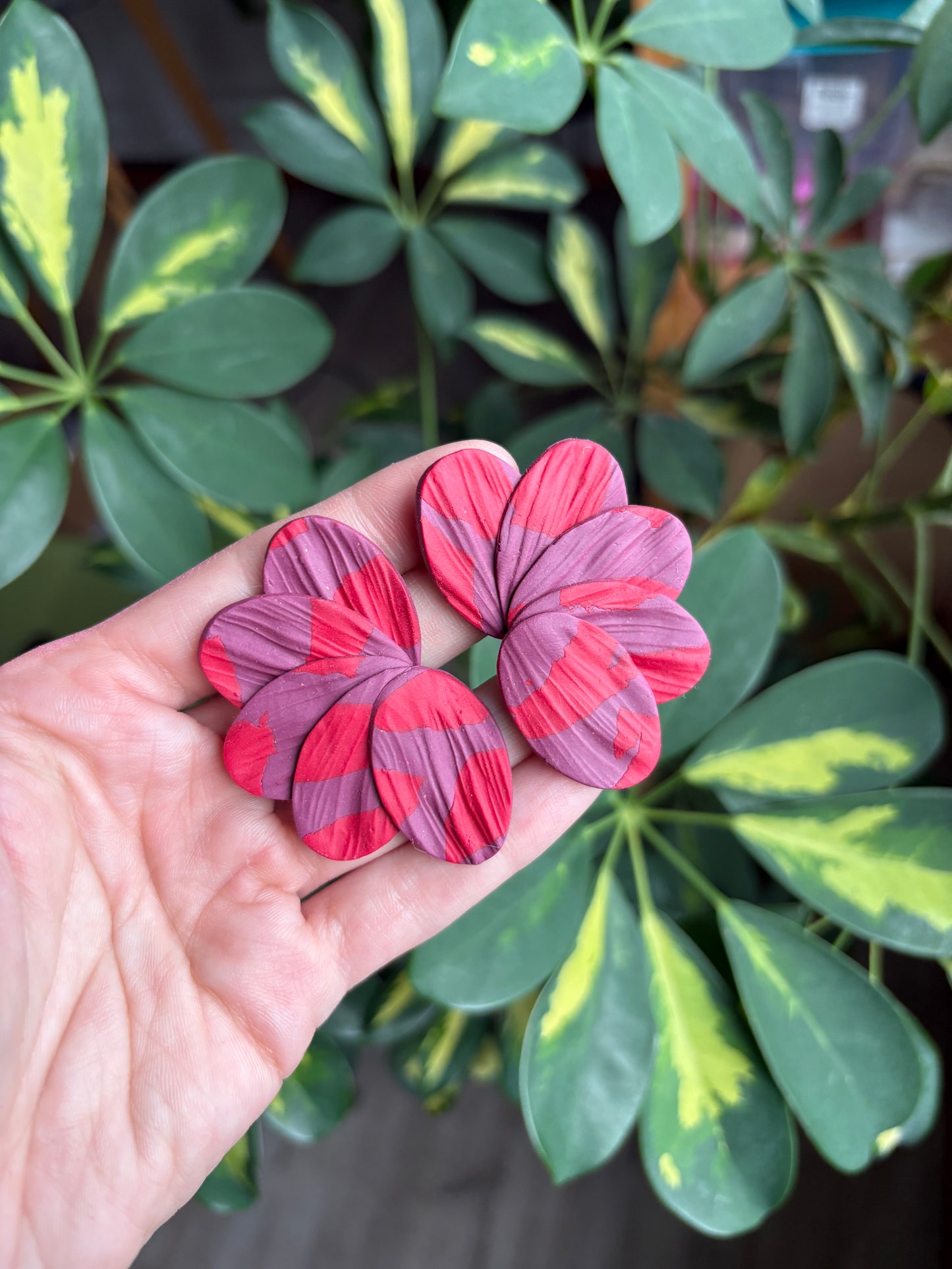 Aros Paula Burdeo / Cereza